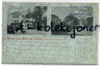 Dłużek - Dolzig k. Lubsko - Pałac - Lito...