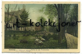 Sulęcin - Zielenzig - Promenada