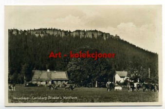 Karłów - Carlsberg - Szczeliniec Wielki - Waldhaus