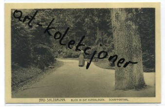 Wałbrzych - Szczawno Zdrój - Bad Salzbrunn - Park