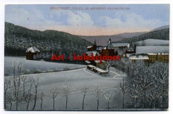 Sokołowsko - Gorbersdorf - Zimowe ujęcie