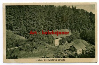 Jawor - Jauer - Myślibórz - Forsthaus