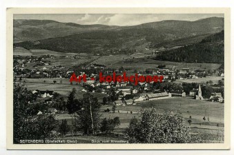 Stronie Śląskie - Seitenberg - Total