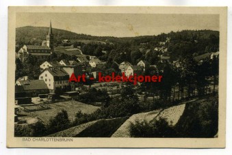 Jedlina Zdrój - Bad Charlottenbrunn - Widok ogólny