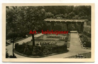 Głogów - Glogau - Rosengarten