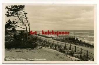 Krynica Morska - Kahlberg - Promenada