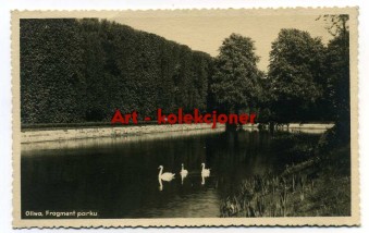 Gdańsk - Danzig - Oliwa - Park