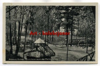 Przewóz - Priebus - Scene plenerowa