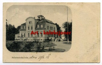 Zdziechowice - Meienfelde gm. Środa Wielkopolska - Pałac