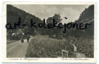 Łomnica - Lomnitz k.Głuszyca - Domki