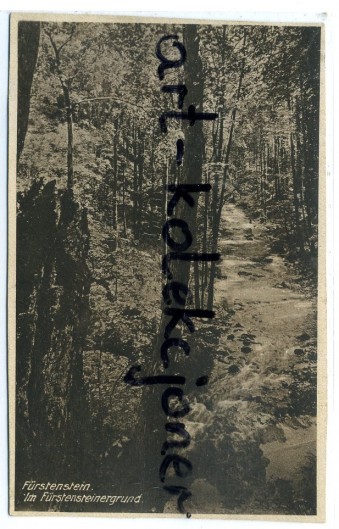 Wałbrzych - Zamek Książ - Furstenstein - Park - Strumyk