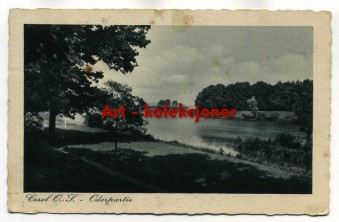 Kędzierzyn Koźle - Cosel - Oderpartie