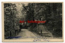 Lądek Zdrój - Bad Landeck - Ścieżka leśna