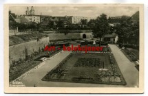 Głogów - Glogau - Rosengarten - Fotograficzna